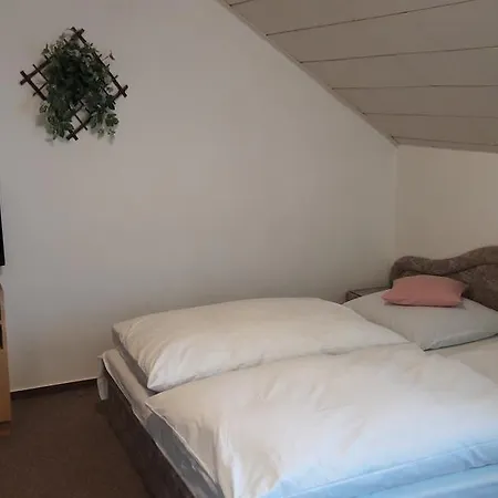 Jesen Guest house